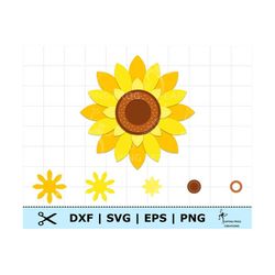 Sunflower SVG. PNG. Cricut cut files, layered files. Silhouette files. Spring flower. Instant download. Yellow, Brown, D
