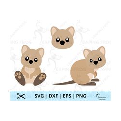 Quokka SVG. PNG. Cricut cut files, layered. Silhouette files. Australian animals. Kangaroo, wallaby Baby, Cute, DXF, eps