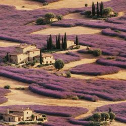 Tuscan Farmhouse in a Field of Lavender Pattern Pattern Tileable Repeating Pattern