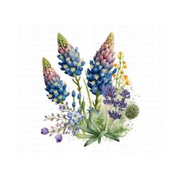 Bluebonnets Watercolor Clipart - Texas State Flower, Wildflowers Clipart, Watercolor Flowers, Bluebonnet Painting