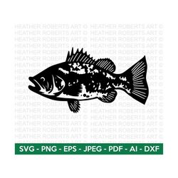 Fish SVG, Sea Animal Svg, Fishing Svg, Dad Fishing SVG, Father's Day SVG, Dad Shirt svg, Gift for Dad svg, Cut File Cric