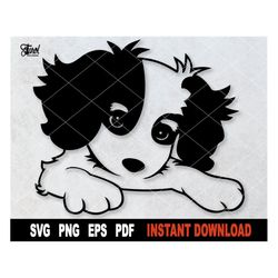 Cavalier King Charles Spaniel SVG Cut File, Dog SVG Outline, Single Layer Black Svg File For Cricut, Silhouette, Cute Pe