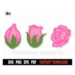 Roses SVG Bundle, Flowers Svg File For Cricut, Silhouette, Nature Svg Cut File, Roses bouquet Vector Clipart, Printable-