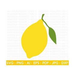 Lemon SVG, Fruits SVG, Lemonade svg, Citrus Lemon svg, Lemon Clipart, Cricut Cut Files