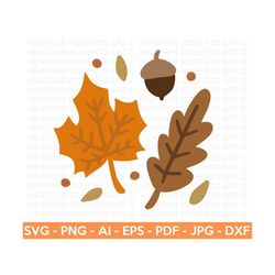 Fall Leaves SVG, Fall svg, Pumpkin Patch svg, Fall SVG, Kids Fall Shirt, Autumn Svg, Cut File Cricut, Silhouette, PNG