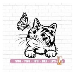 Cute cat Svg | peeking cat Svg | Curious Kitten Clipart | funny kitty | cat svg-XiemStockshop