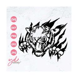 Tiger Svg | Tiger Scratch Svg | Tiger Claw Svg | Tiger Decals | Tiger Animal Svg | Tiger Look Svg | Tiger Cut Files | Fi