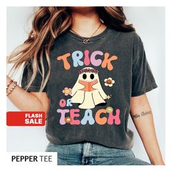 Halloween Shirt Teacher Halloween Sweatshirt, Retro Ghost Shirt, In My Spooky TEACHER Era