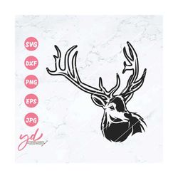 Buck Head Svg Png | Deer Head Svg | Deer Svg | Deer Antlers Svg | Deer Hunting Svg | Deer Hunting Clipart | Outdoor Svg