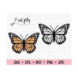 butterfly svg monarch butterfly cut file butterflies outline cute beautiful insect freedom silhouette cricut vinyl decal