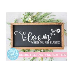 Bloom Where You Are Planted SVG, Home Decor Cut File, Farmhouse Design, Spring Quote, Inspirational Saying, dxf eps png,
