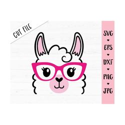 Llama face SVG Cute Llama glasses cut file Funny Alpaca head Llama Eyelashes Animal Baby Girl Nerd Shirt Teacher Cricut