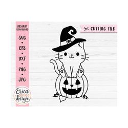 Halloween cat svg cut file Witch cat on Halloween pumpkin Cute cat with witch hat Fall Kids Halloween shirt Silhouette C