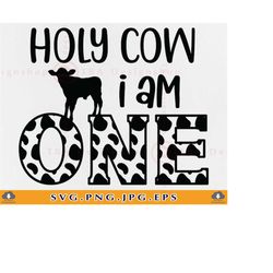 Holy Cow I am One SVG, Cow Birthday SVG,1st Birthday Boy SVG, Girl First Birthday Shirt, Farm Cowboy Birthday Gift,Files