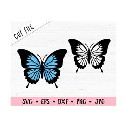 Butterfly SVG Light blue butterfly cut file Monarch Butterflies Outline Beautiful Insect Freedom Silhouette Cricut Vinyl