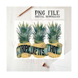 Summer PNG file for sublimation, DTG printing, pineapple PNG, t-shirt designs, digital downloads, sublimation designs, s