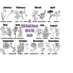 25 Birth Month Flower SVG Bundle, Hand drawn Flower SVG, Flower PNG, T-shirt design svg, Flower svg, Digital File, Brith