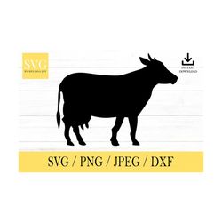 Cow svg, Animal SVG, svg, png, dxf, jpeg, Digital Download, Cut File, Cricut, Silhouette, Glowforge, Svg files for cricu