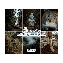 Moody Presets, Lightroom Presets, Instagram Presets, Lifestyle Photo Editing, Blogger and Influencer Presets, DNG, XMP,