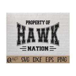 Hawk Nation svg, Hawks Mascot svg, Hawks School Spirit svg, Hawks Cheerleading, Hawks Team Gear svg, Cricut, Silhouette,