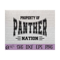 Panther Nation svg, Panthers Mascot svg, Panthers School Spirit svg, Panther Cheerleading, Panthers, Cricut, Silhouette,