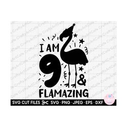 9th birthday flamingo svg