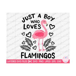 flamingo svg flamingo png flamingo cut file cricut svg just a boy who loves flamingos