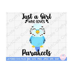 PARAKEET SVG just a girl who loves parakeets svg png