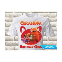 Turning Red Grandpa of the Birthday Girl Iron On Transfer, Turning Red Iron On Transfer Turning Red Birthday Shirt Iron