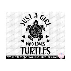 turtle svg turtle png