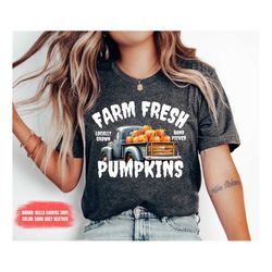 Pumpkins shirt Fall shirt, Thanksgiving sweater, Fall Pumpkin, Fall Tee, Pumpkin Shirt Patch, Autumn Tee, Halloween Wome