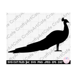 peacock silhouette svg peacock silhouette png peacock cut file for cricut