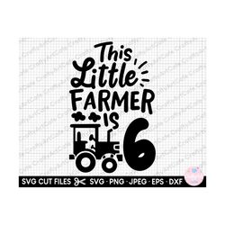 6th birthday farmer little farmer tractor lover svg png cricut cut file cutting file