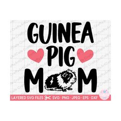 guinea pig svg guinea pig png guinea pig mom