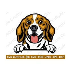 Beagle SVG Beagle Peeking SVG for Cricut Beagle PNG