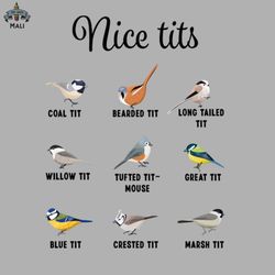 Nice Tits Titmouse Great Tit Bird watching Gift Sublimation PNG Download