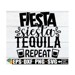 Fiesta Siesta Tequila Repeat, Cinco De Mayo SVG, Funny Cinco De Mayo svg, Cinco De Mayo Shirt SVG, Cinco De Mayo Decor s