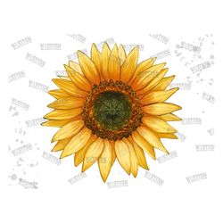 Sunflower Sublimation Png, Watercolor Sunflower, Hand Drawing Png, Cute Sunflower Png, Western Sunflower Png, Sunflower