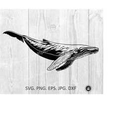 Whale svg,sperm whale files png clipart cricut silhouette, whale die cut SVG, whale svg vector files,PNG eps svg files d