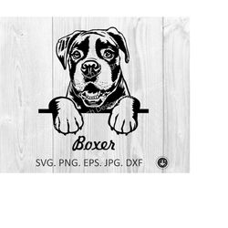 boxer svg,peeking boxer dog breed,boxer puppy svg,cute funny boxer,head,clipart,vector,cricut,print file,download,png,ep