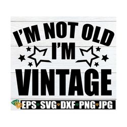 I'm Not Old I'm Vintage, Birthday Humor, Funny Retirement, Funny Birthday, Funny Birthday, Men's Birthday, svg png dxf,