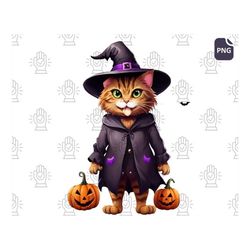 Halloween Cat SVG PNG - Trendy Halloween Svg, Witch Hat, Spooky Vibes, Halloween, Cute and Funny Halloween SVG Designs,