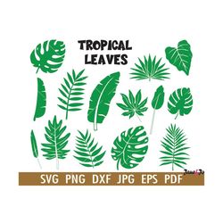 Tropical Leaves SVG,Jungle leaves Svg,Tropical Leaves Clipart PNG DXF Circut cutting files Vector ,Monstera Palm BranchL