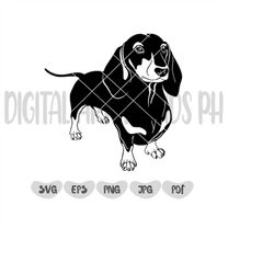 Dachshund Dog Cut files || Cameo Silhouette SVG || Dachshund Svg