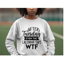 After Tuesday Even The Calendar Says WTF | Sarcastic Quotes Graphic Wear | Funny Quotes | Hoodie Sweatshirt T-Shirt