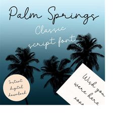 Palm Springs pretty classic script signature style font for Procreate/ craft lettering