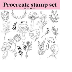 botanical / forest  procreate stamp/ brush set bundle / 25 designs