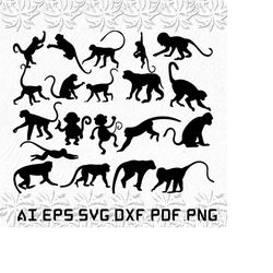 Monkey svg, Monkeys svg, Animal svg, Animals, Ape, SVG, ai, pdf, eps, svg, dxf, png