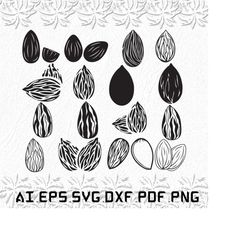 Almond svg, Almonds svg, Fruit svg, Food, Lover, SVG, ai, pdf, eps, svg, dxf, png
