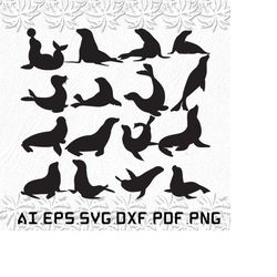 Seal svg, Seals svg, Sea svg, Sea Lion, Animal, SVG, ai, pdf, eps, svg, dxf, png